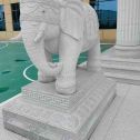 普洱 白麻花岗岩动物异形石雕-大象