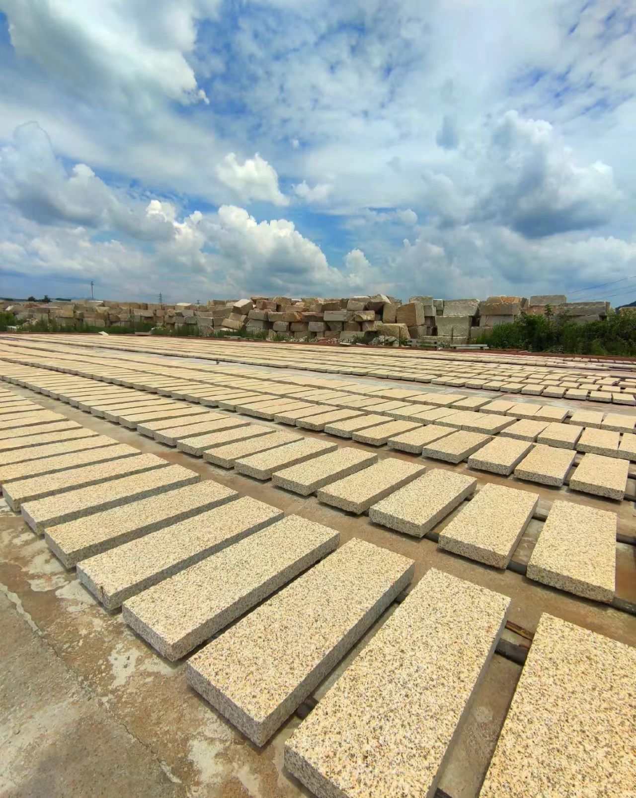 普洱 黄金麻花岗岩荔枝面地铺石防护中